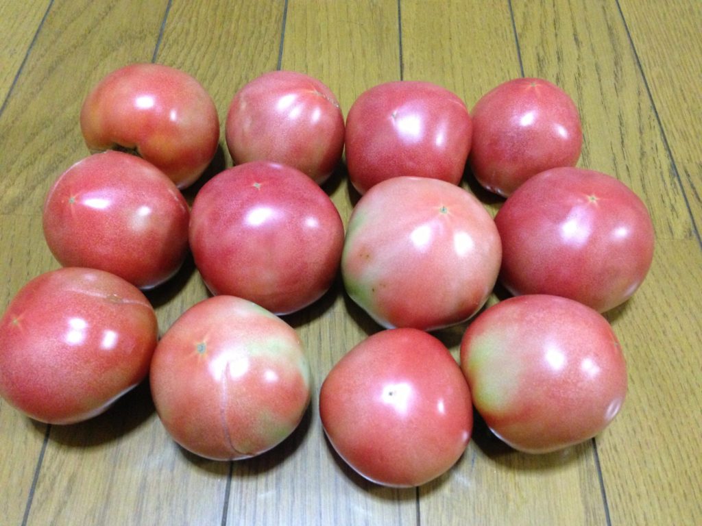 収穫したトマト①（2013/8/3）