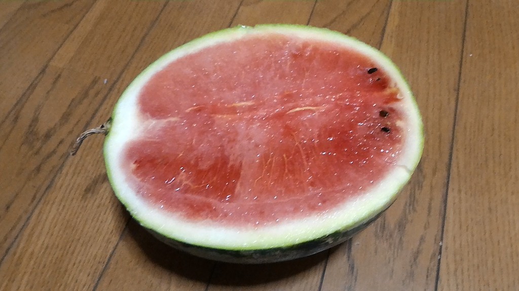 収穫後の「すいか」②(8月5日)